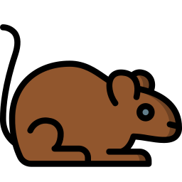 Mouse icon