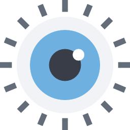 Vision icon