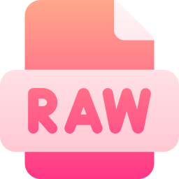 Raw file icon