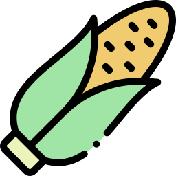 Corn icon