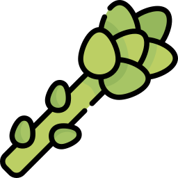 Asparagus icon