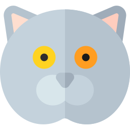 British shorthair cat icon