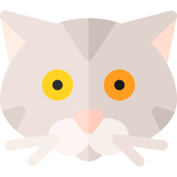 American shorthair icon