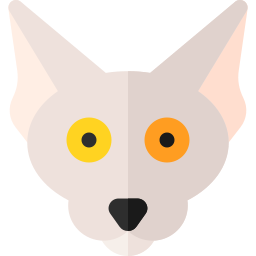 Peterbald cat icon