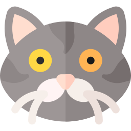 猫 icon