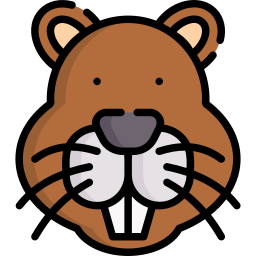 Beaver icon