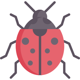 coccinelle Icône