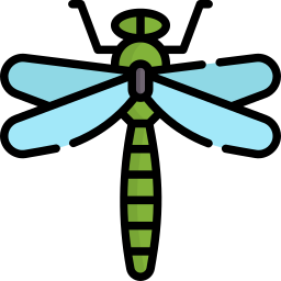 Dragonfly icon