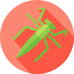 Praying mantis icon