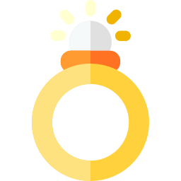 Ring icon