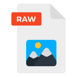 Raw file icon