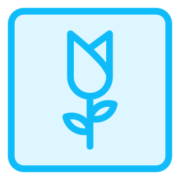 rose icon