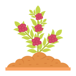 Coffee plant icon