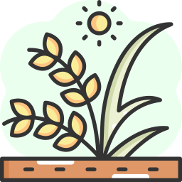 Rice icon