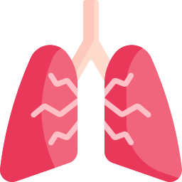 Lungs icon