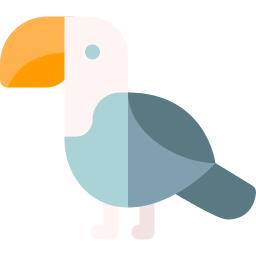 toucan Icône