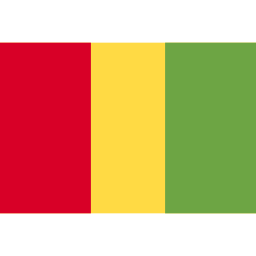 guinée Icône