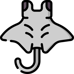 manta ray icona