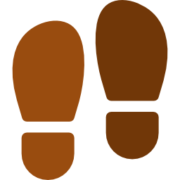 Footprint icon