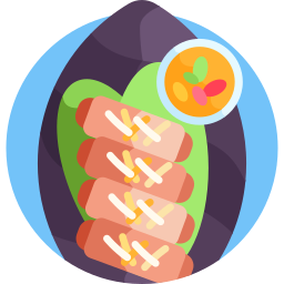 Fried spring rolls icon