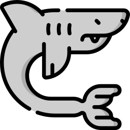 Shark icon