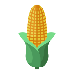 Corn icon