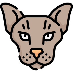 sphynx-katze icon