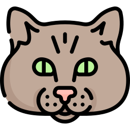 猫 icon