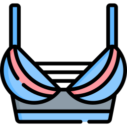 Bra icon