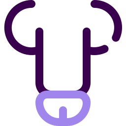 penis icon