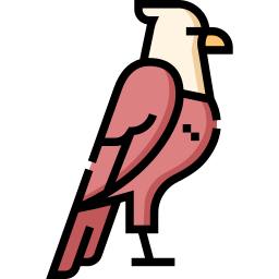 adler icon