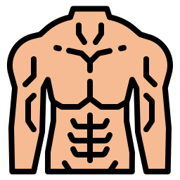 muscle Icône