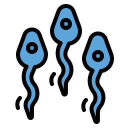 sperma icon