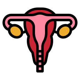 Uterus icon