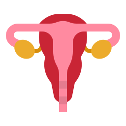 Uterus icon