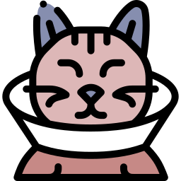 エリザベスカラー icon