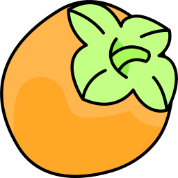 Persimmon icon