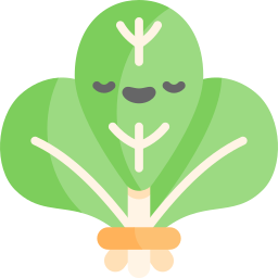 Spinach icon