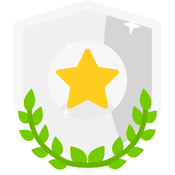 Silver medal icon