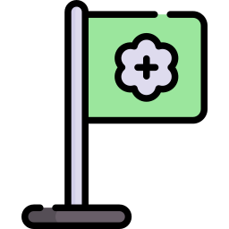 flagge icon