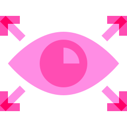 Vision icon