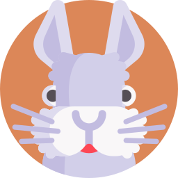 Rabbit icon