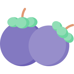 Mangosteen icon