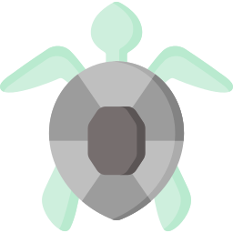 Turtle icon