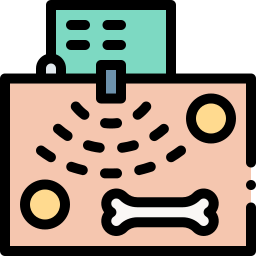 echografie icoon