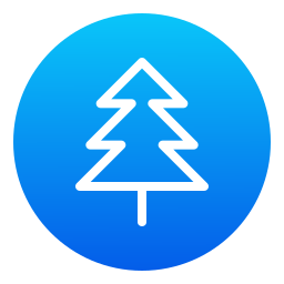 Spruce icon