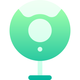 Webcam icon