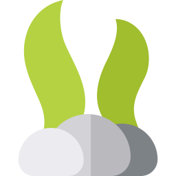 Algae icon