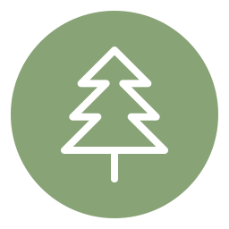 Spruce icon