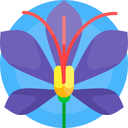 Saffron icon